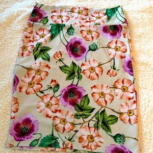LuLaRoe Cassie pencil skirt. Size Large
